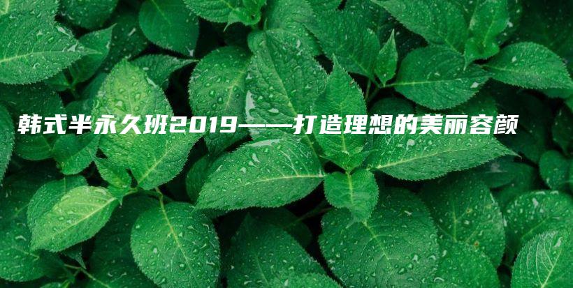 韓式半永久班2019——打造理想的美麗容顏插圖