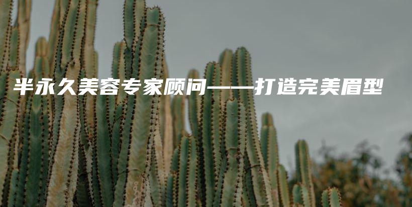 半永久美容專家顧問——打造完美眉型插圖