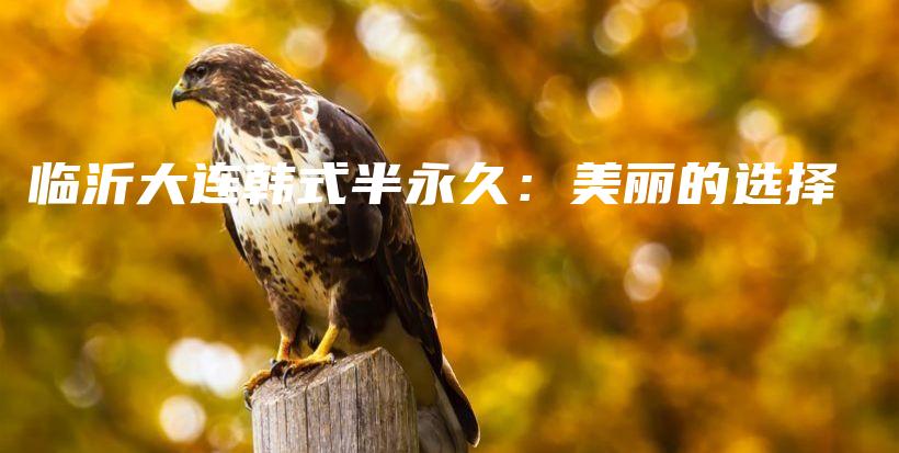 臨沂大連韓式半永久：美麗的選擇插圖