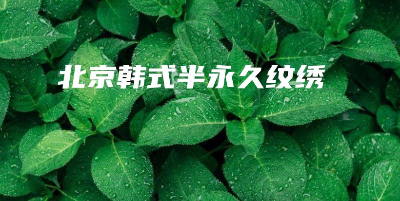 北京韓式半永久紋繡插圖