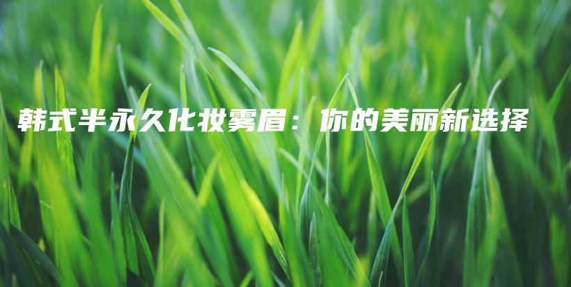 韓式半永久化妝霧眉：你的美麗新選擇插圖
