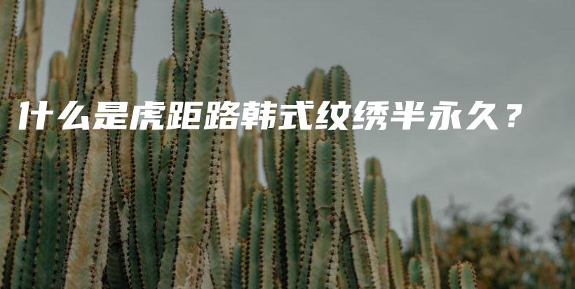 什么是虎距路韓式紋繡半永久？插圖