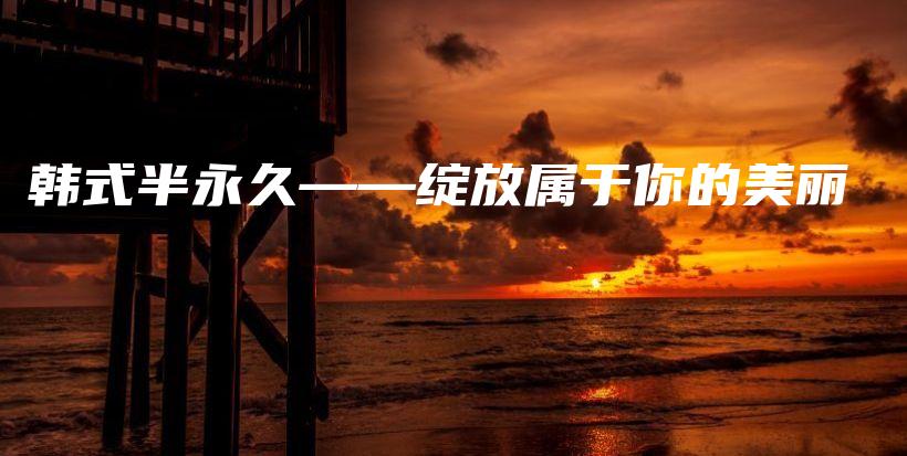 韓式半永久——綻放屬于你的美麗插圖