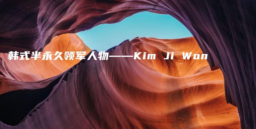韓式半永久領(lǐng)軍人物——Kim Ji Won插圖
