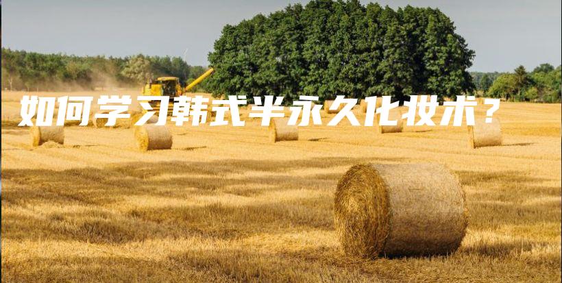 如何學習韓式半永久化妝術(shù)？插圖