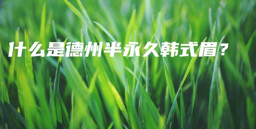 什么是德州半永久韓式眉？插圖