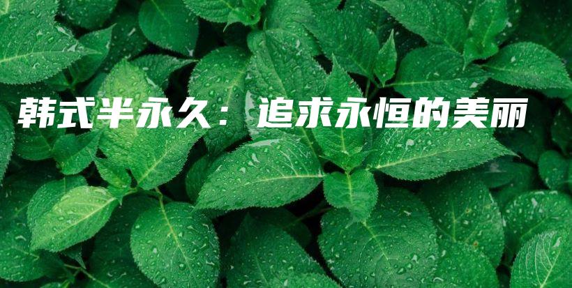 韓式半永久：追求永恒的美麗插圖