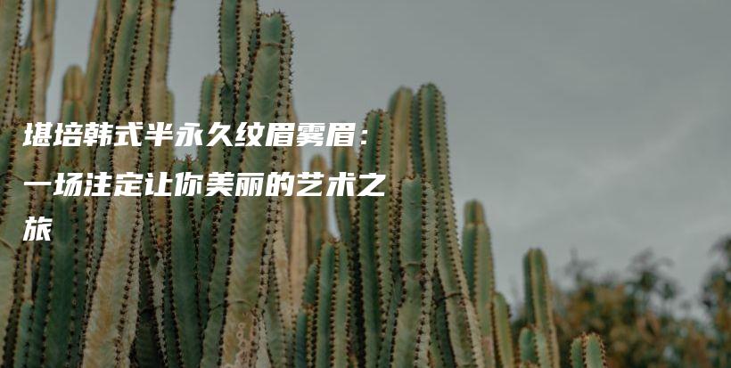 堪培韓式半永久紋眉霧眉：一場注定讓你美麗的藝術(shù)之旅插圖