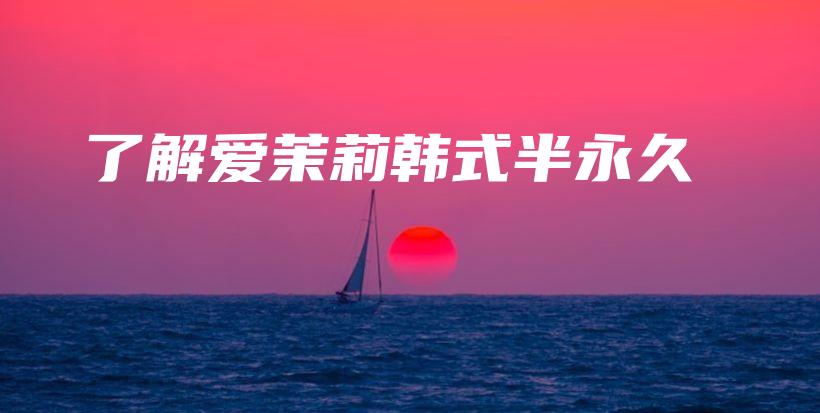 了解愛茉莉韓式半永久插圖