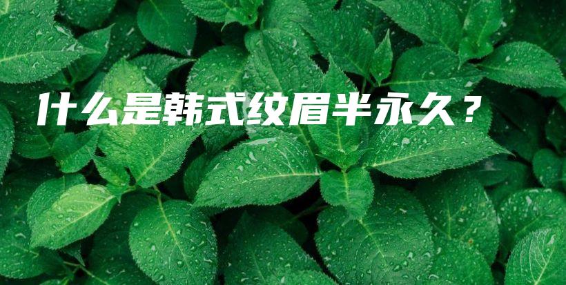 什么是韓式紋眉半永久？插圖