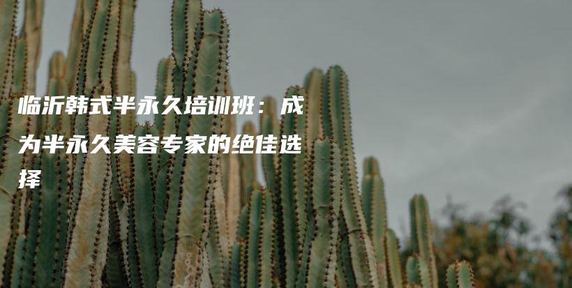 臨沂韓式半永久培訓班：成為半永久美容專家的絕佳選擇插圖