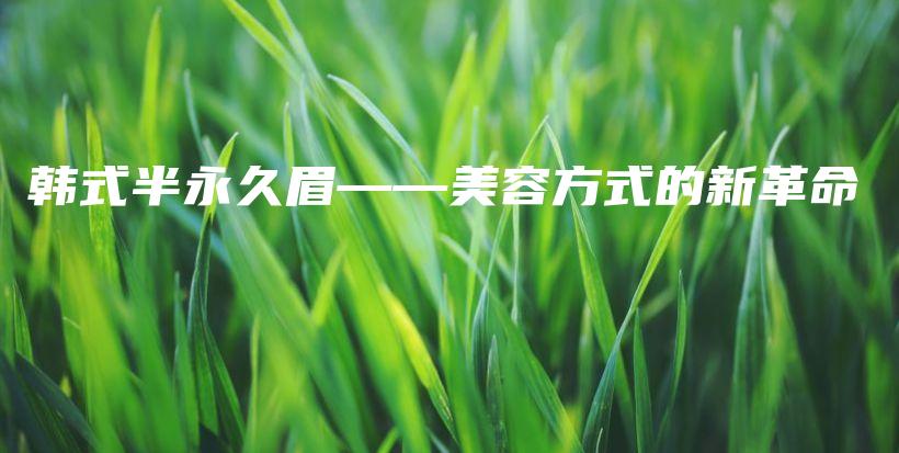 韓式半永久眉——美容方式的新革命插圖