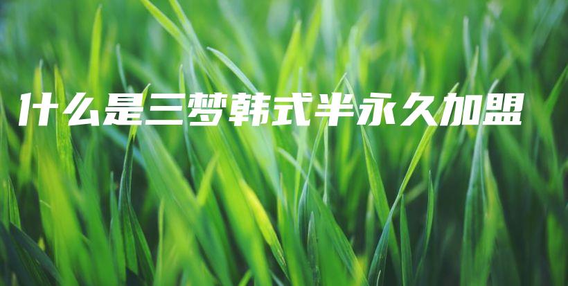 什么是三夢韓式半永久加盟插圖