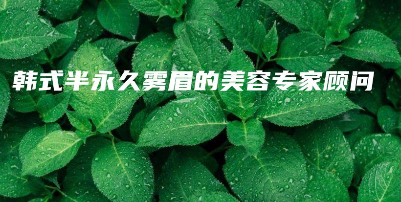 韓式半永久霧眉的美容專家顧問插圖