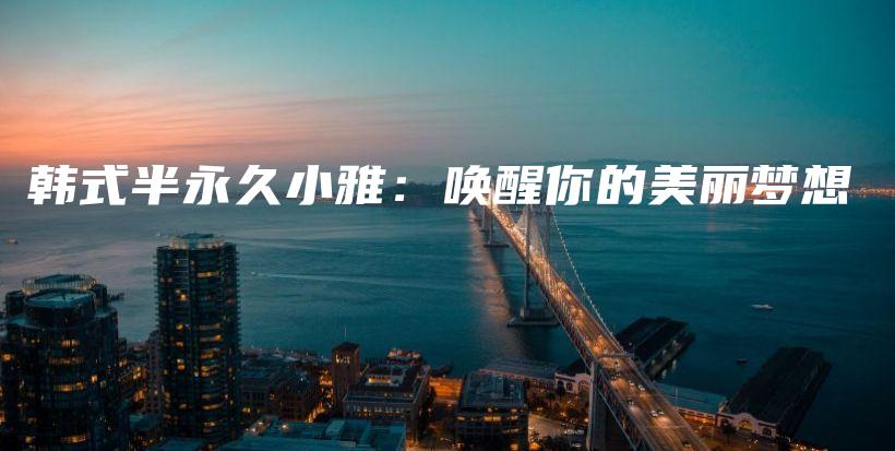 韓式半永久小雅：?jiǎn)拘涯愕拿利悏?mèng)想插圖