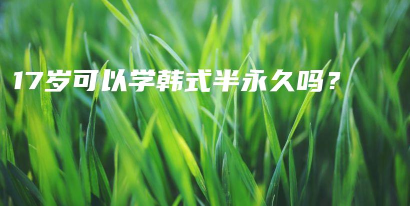 17歲可以學(xué)韓式半永久嗎？插圖