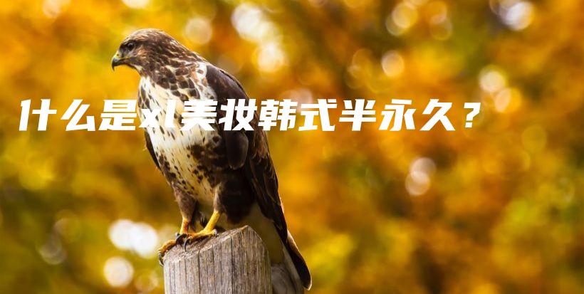 什么是xl美妝韓式半永久？插圖