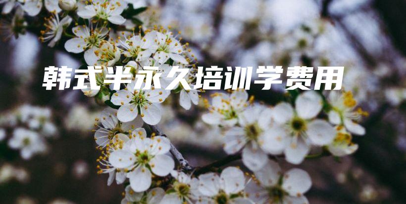 韓式半永久培訓(xùn)學(xué)費(fèi)用插圖
