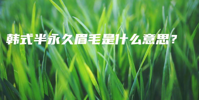 韓式半永久眉毛是什么意思？插圖