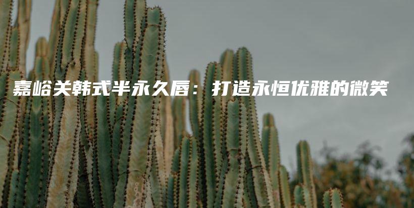 嘉峪關韓式半永久唇：打造永恒優(yōu)雅的微笑插圖