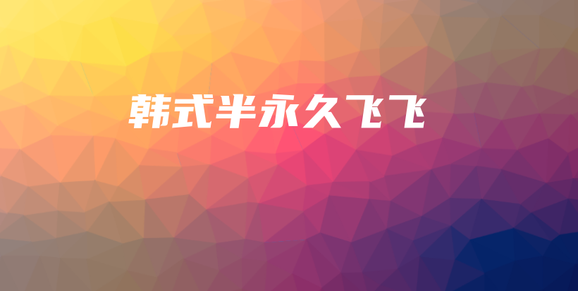 韓式半永久飛飛插圖