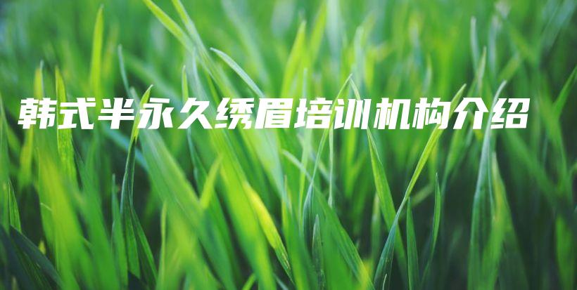 韓式半永久繡眉培訓(xùn)機(jī)構(gòu)介紹插圖