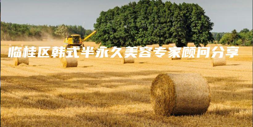 臨桂區(qū)韓式半永久美容專家顧問分享插圖