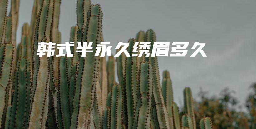 韓式半永久繡眉多久插圖