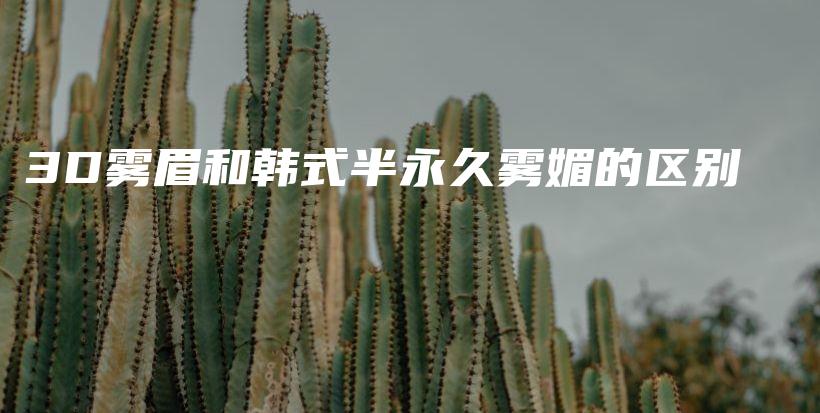 3D霧眉和韓式半永久霧媚的區(qū)別插圖