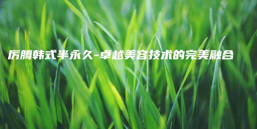 厲騰韓式半永久-卓越美容技術(shù)的完美融合插圖