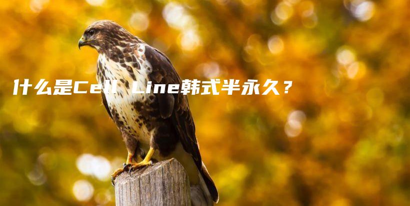 什么是Cell Line韓式半永久？插圖