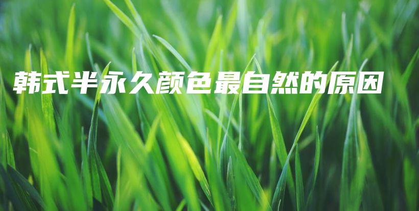 韓式半永久顏色最自然的原因插圖