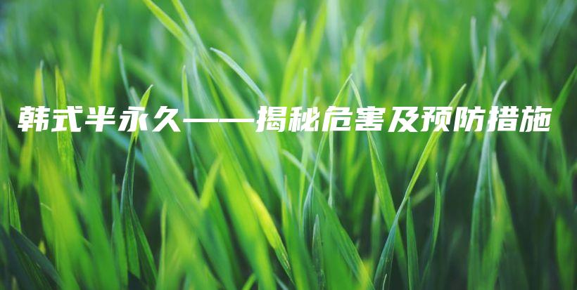韓式半永久——揭秘危害及預(yù)防措施插圖