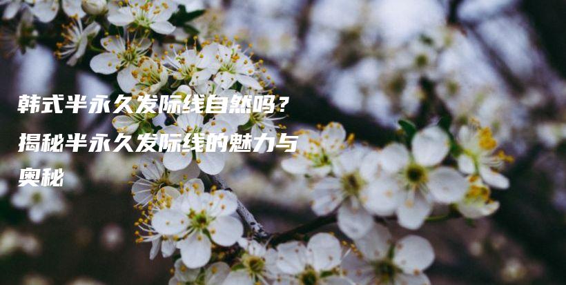 韓式半永久發(fā)際線自然嗎？揭秘半永久發(fā)際線的魅力與奧秘插圖