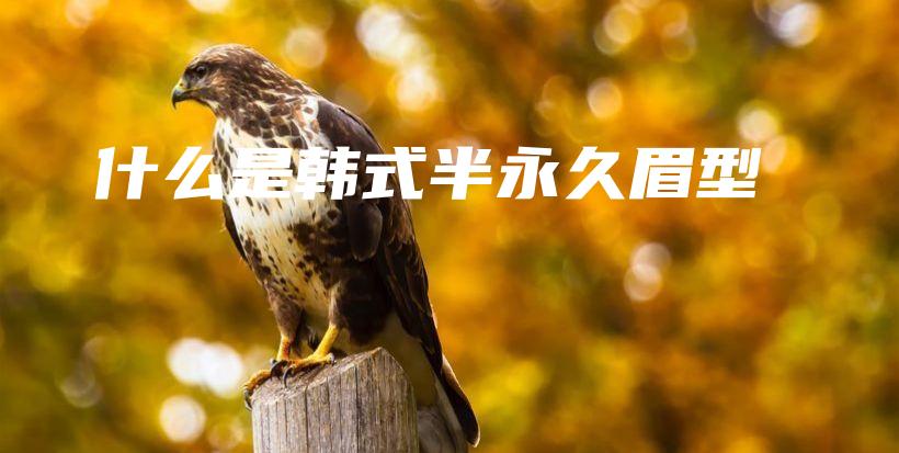 什么是韓式半永久眉型插圖