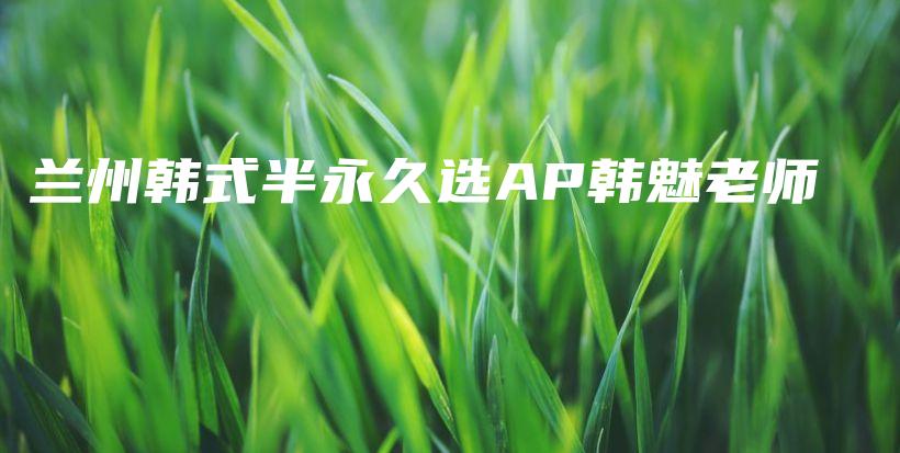 蘭州韓式半永久選AP韓魅老師插圖
