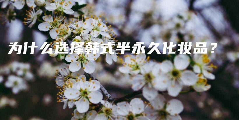 為什么選擇韓式半永久化妝品？插圖