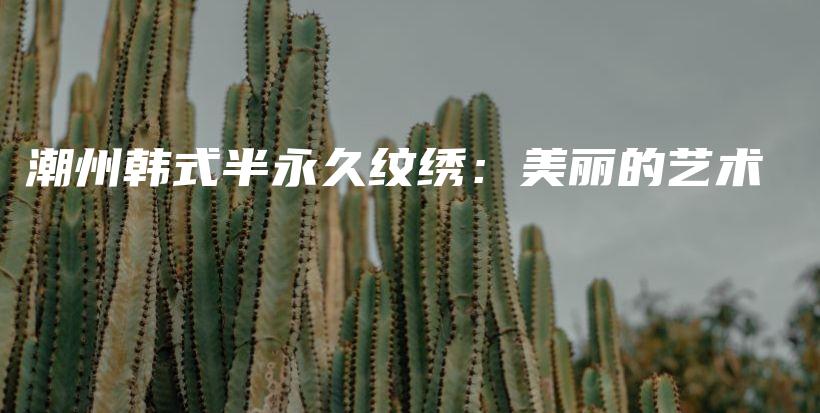 潮州韓式半永久紋繡：美麗的藝術插圖