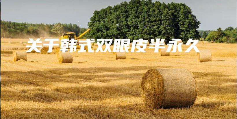 關于韓式雙眼皮半永久插圖