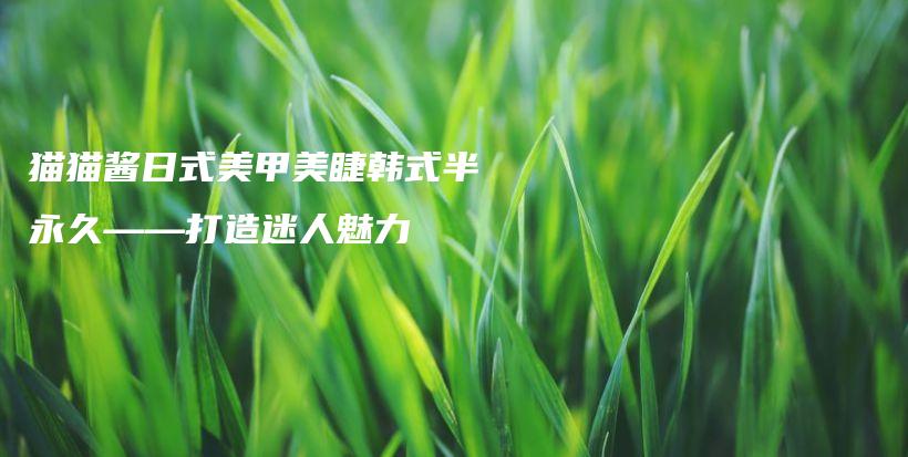 貓貓醬日式美甲美睫韓式半永久——打造迷人魅力插圖