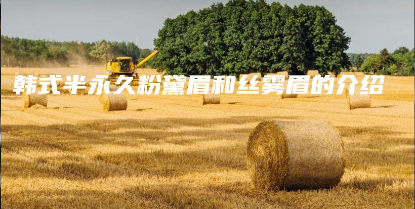 韓式半永久粉黛眉和絲霧眉的介紹插圖