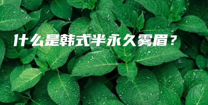 什么是韓式半永久霧眉？插圖