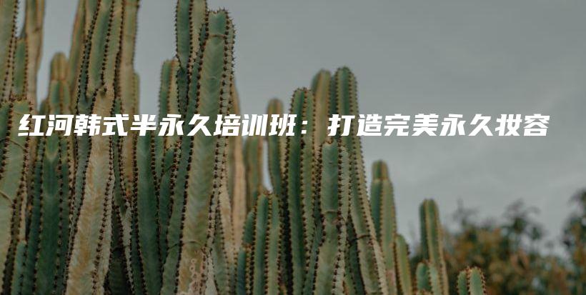 紅河韓式半永久培訓(xùn)班：打造完美永久妝容插圖