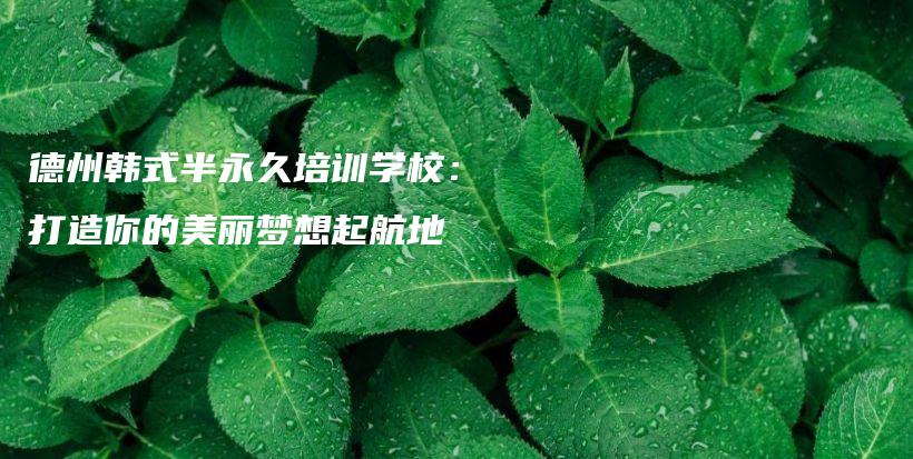德州韓式半永久培訓(xùn)學(xué)校：打造你的美麗夢想起航地插圖