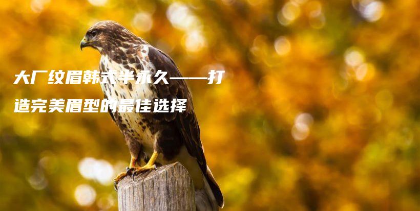 大廠紋眉韓式半永久——打造完美眉型的最佳選擇插圖