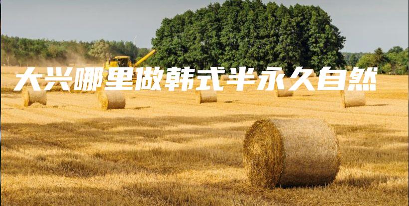大興哪里做韓式半永久自然插圖
