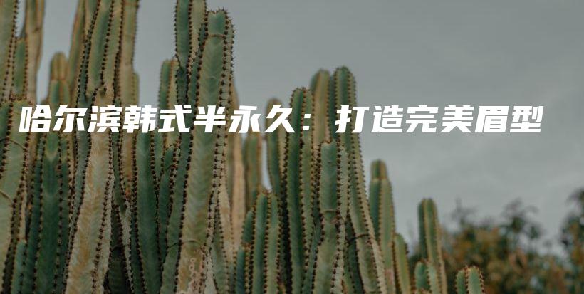 哈爾濱韓式半永久：打造完美眉型插圖
