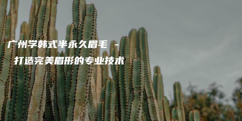 廣州學韓式半永久眉毛 – 打造完美眉形的專業(yè)技術(shù)插圖