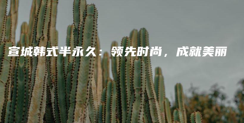 宣城韓式半永久：領(lǐng)先時(shí)尚，成就美麗插圖