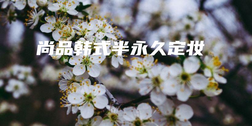 尚品韓式半永久定妝插圖